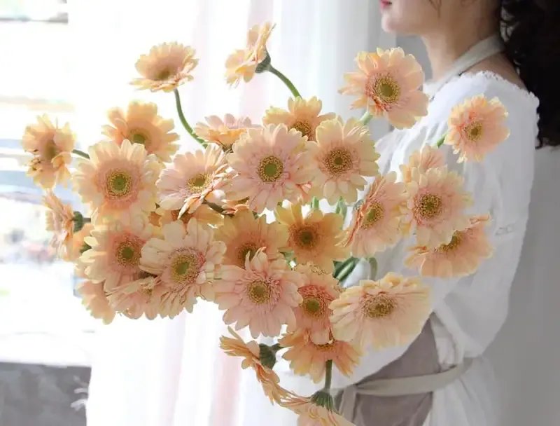 hoa đồng tiền 14