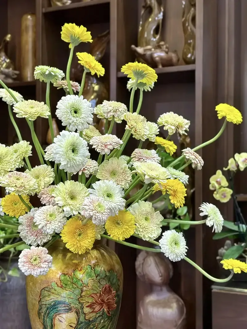 hoa đồng tiền 12
