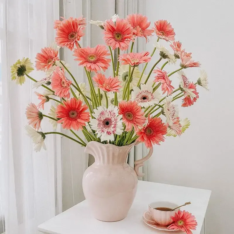 hoa đồng tiền 17