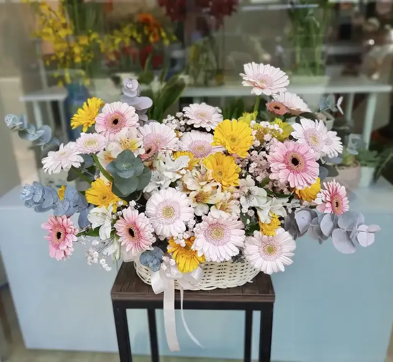 hoa đồng tiền 10