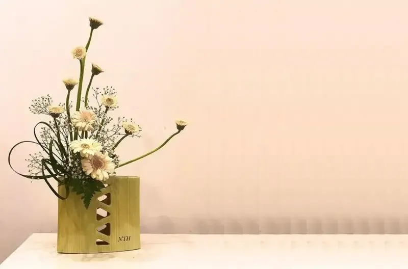 hoa đồng tiền 18