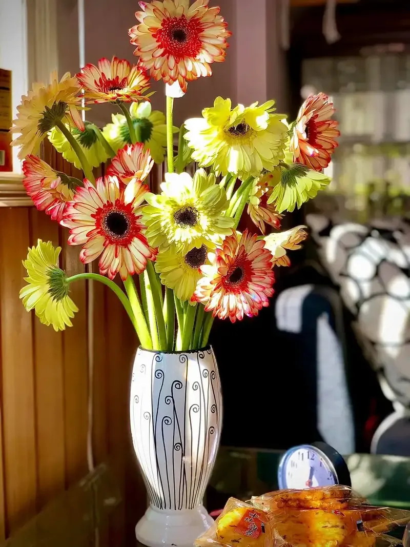hoa đồng tiền 19
