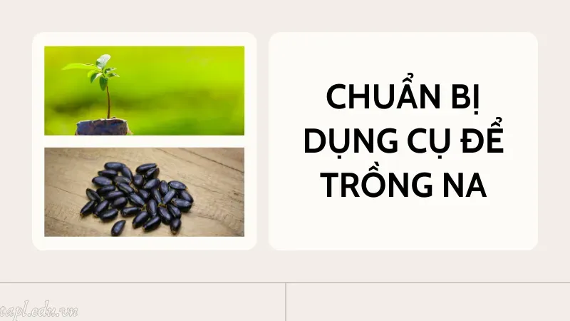 Chuẩn bị dụng cụ để trồng na