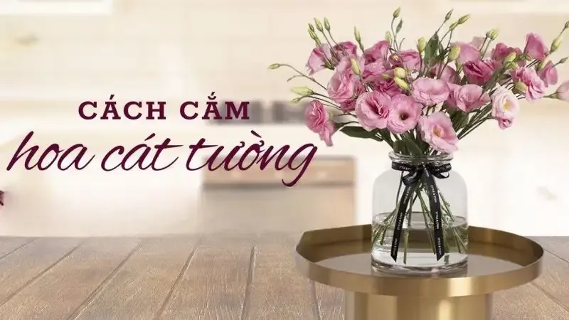 hoa Cát Tường 2