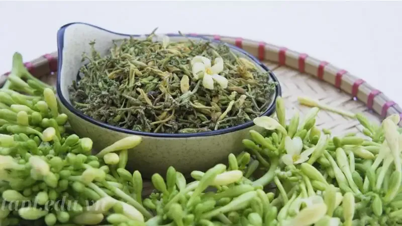  hoa đu đủ đực 8