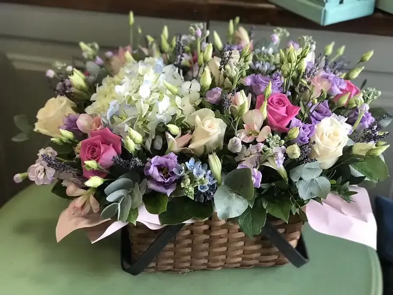 hoa Cát Tường 12