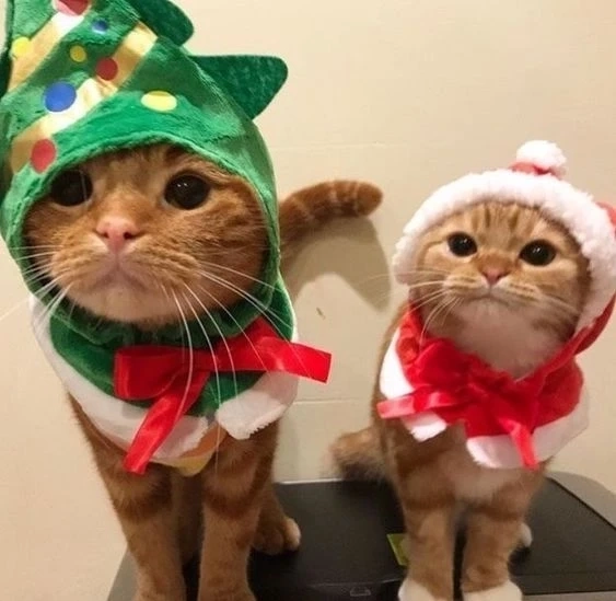 Hình nền noel cute với hình ảnh ông già noel vui vẻ và dễ thương