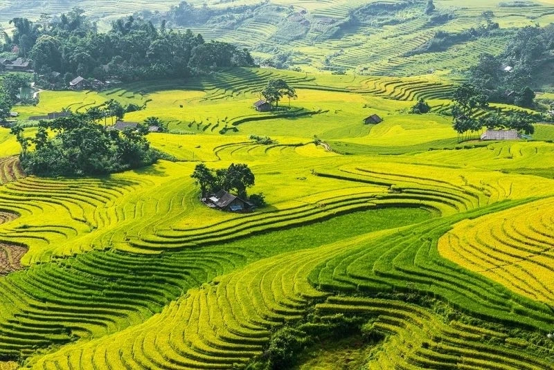 Ảnh avatar phong cảnh giúp bạn thể hiện tình yêu thiên nhiên và sự bình yên