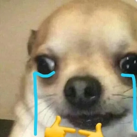 Meme chó Cheems hài hước và sáng tạo phù hợp với mọi đối tượng