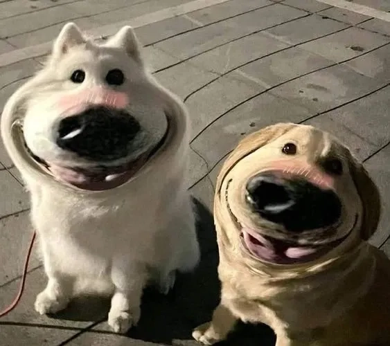 Cảnh sát chính tả meme Cheems hài hước và thú vị không thể bỏ qua