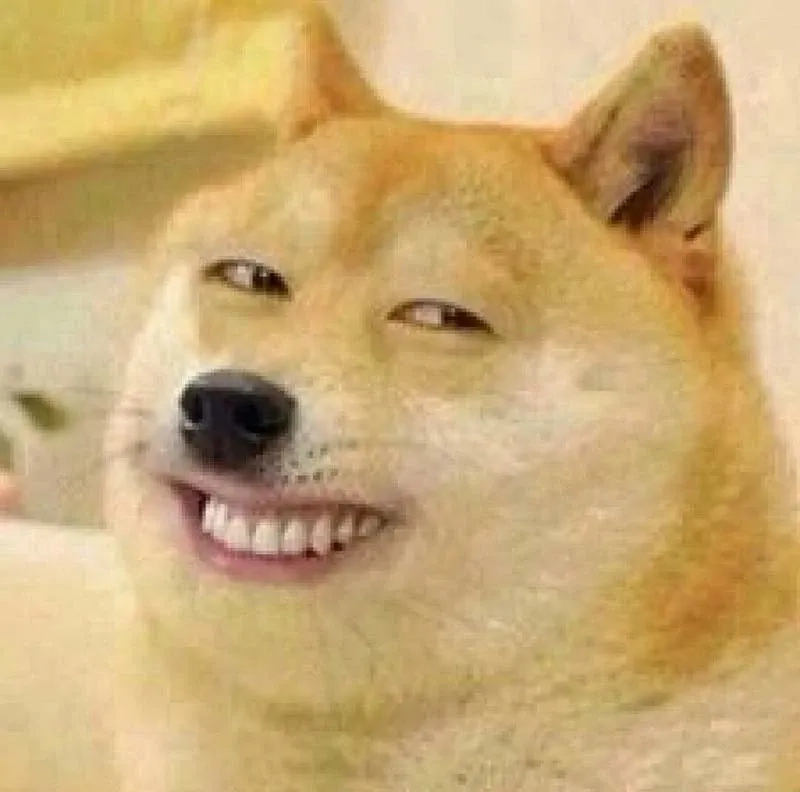 Hình meme Cheems dễ thương và độc lạ phù hợp với mọi người
