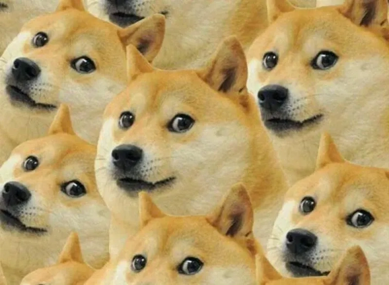 Cheems bonk meme hài hước và sáng tạo với phong cách riêng biệt