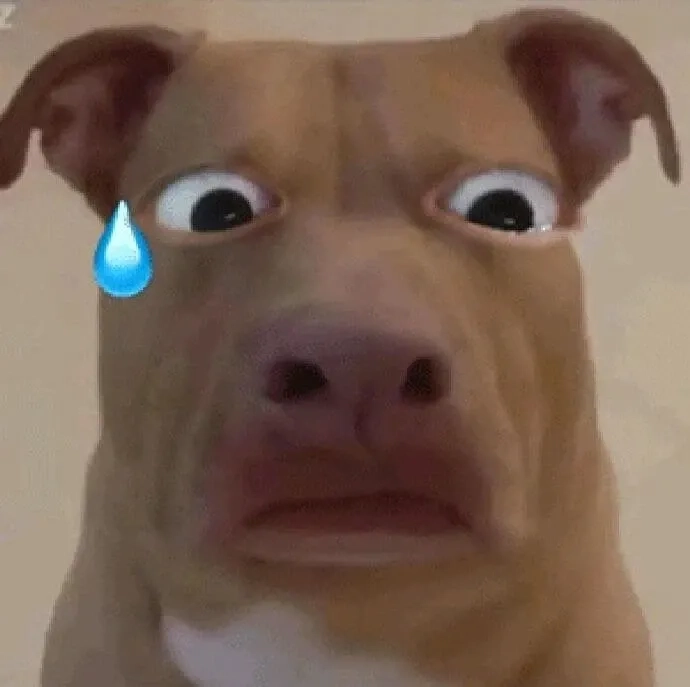 Cheems Doge meme thú vị và hài hước mang lại cảm giác vui vẻ