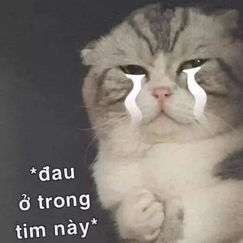 Meme em bé cute hài hước với biểu cảm đáng yêu và sáng tạo