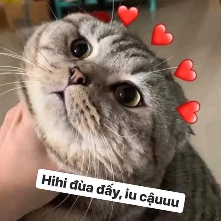 Hài hước cute ảnh người que meme độc đáo và thú vị