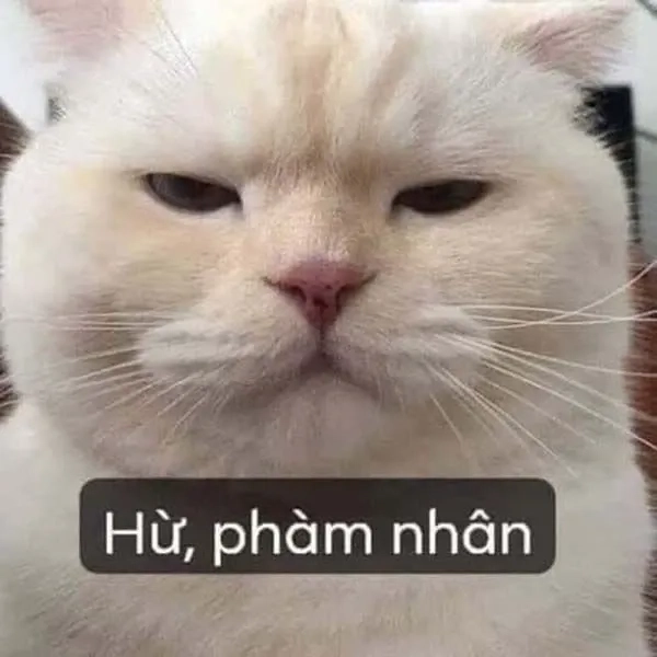 Hài hước icon ảnh meme cute độc đáo và thú vị cho mọi tình huống