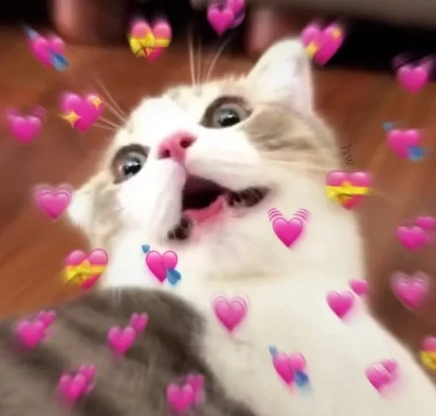 Mặt cười icon ảnh meme cute dễ thương và thú vị phù hợp mọi người