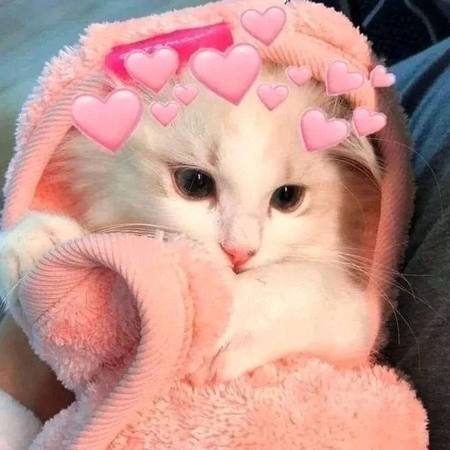 Troll ảnh meme cute hài hước và đáng yêu mang lại tiếng cười