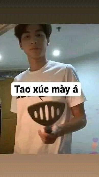 Chó meme hài hài hước với biểu cảm dễ thương và sáng tạo