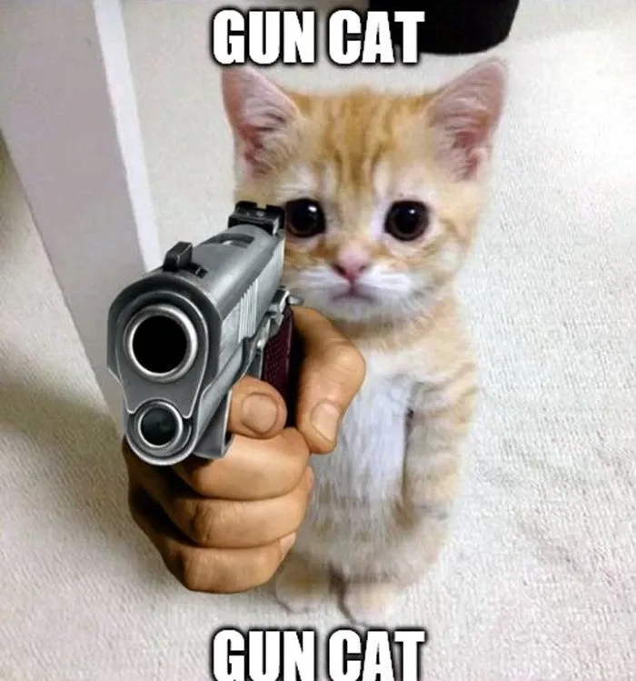 Cậu vàng meme cầm súng độc đáo và sáng tạo trong hội thoại