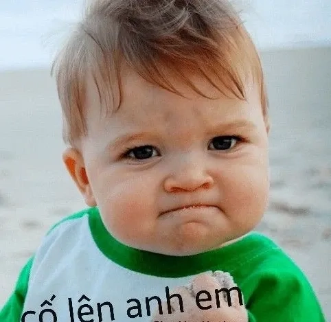 Cố chấp meme hài hước với biểu cảm châm biếm thú vị