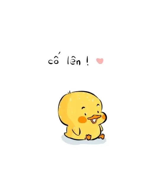 Cốt meme sea ngộ nghĩnh với hình ảnh hài hước và sáng tạo
