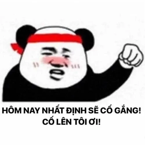 Mũ cối meme hài hước với tình huống châm biếm độc đáo