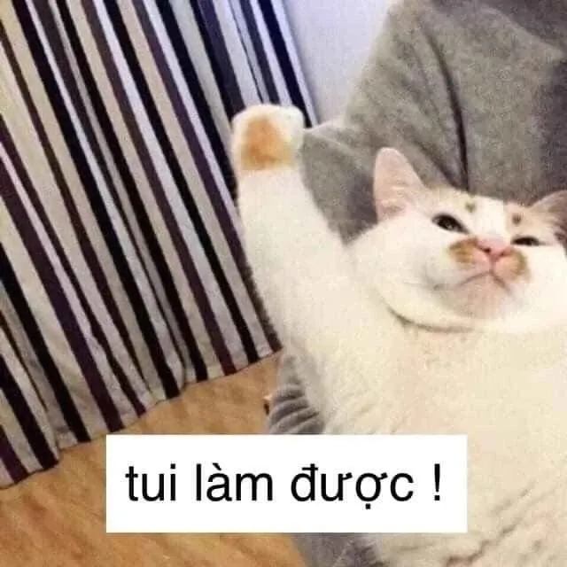 Cốt meme ngộ nghĩnh với các tình huống hài hước sáng tạo