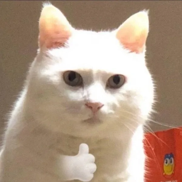 Meme gấu trúc cố lên dễ thương với biểu cảm sáng tạo đáng yêu