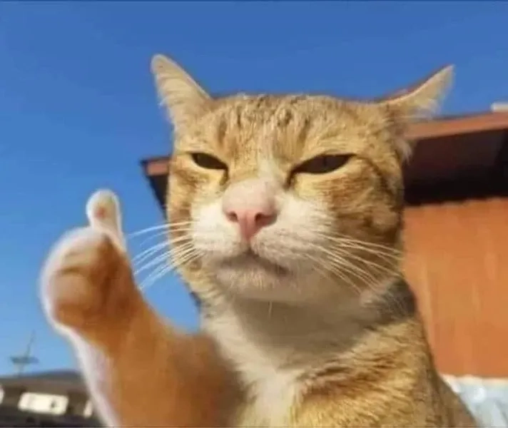 Cố tỏ ra là mình ổn nhưng sâu bên trong nước mắt là biển rộng meme sáng tạo