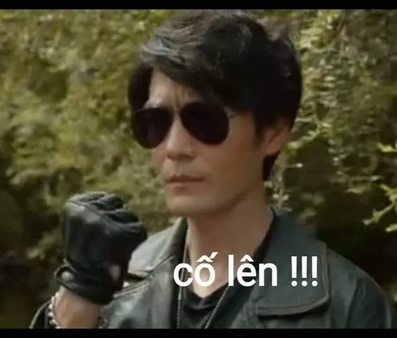 Ảnh meme cố gắng hài hước với các tình huống sáng tạo thú vị
