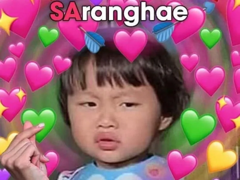 Meme chó cute ngộ nghĩnh với tình huống hài hước và đáng yêu