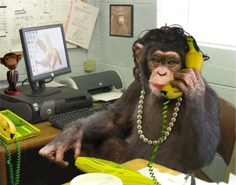 Monkey brain meme gây ấn tượng và độc lạ