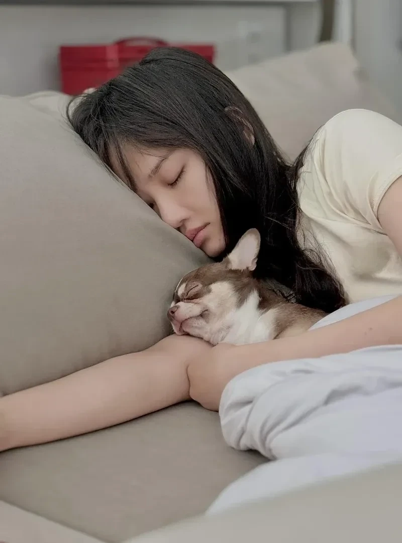 Bài hát về mẹ Anh Bắt Chia Tay của Miu Lê gây xúc động mạnh