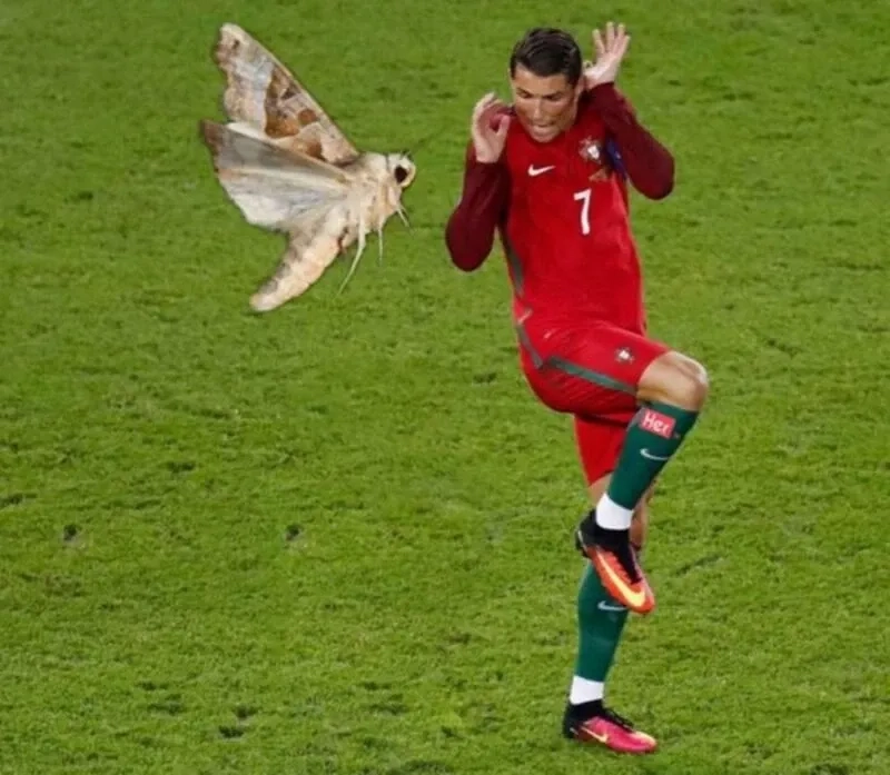 Ronaldo meme siu hài hước và sáng tạo mang lại niềm vui