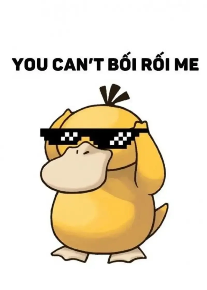 Thú mỏ vịt meme ngộ nghĩnh và hài hước đáng yêu