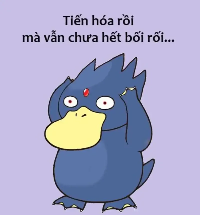 Meme con vịt chu mỏ ngộ nghĩnh và phù hợp để chia sẻ