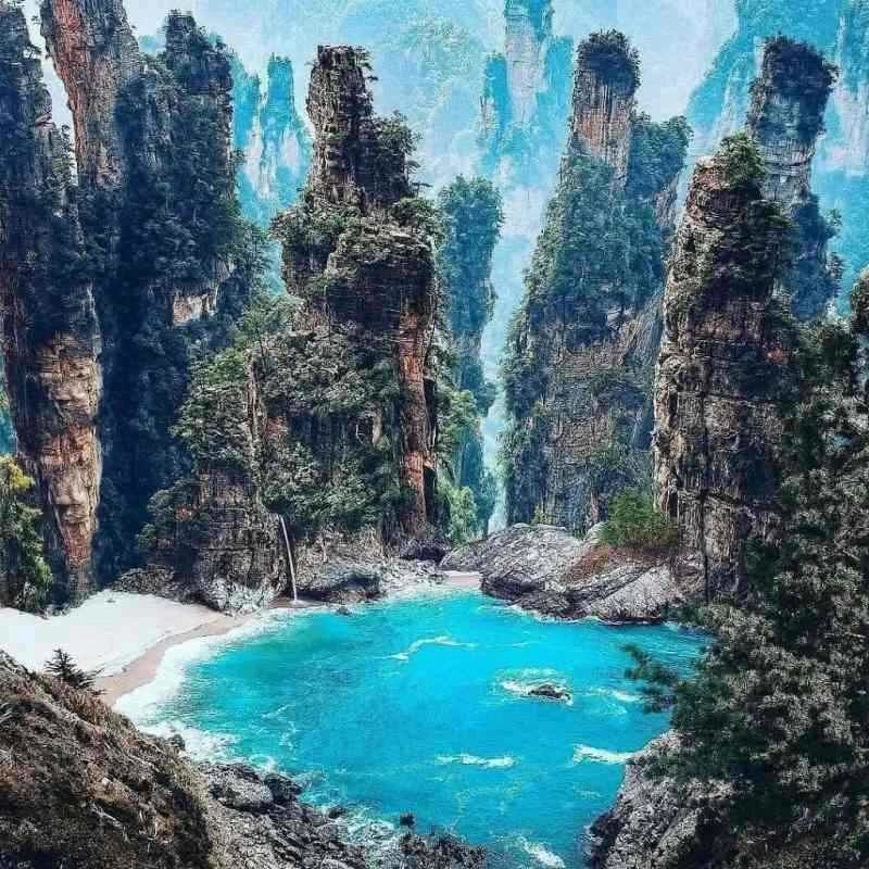 Ảnh để làm avatar TikTok khiến ai cũng thích thú