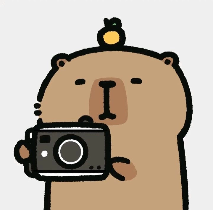Capybara chibi cute – idol mới của hội yêu động vật