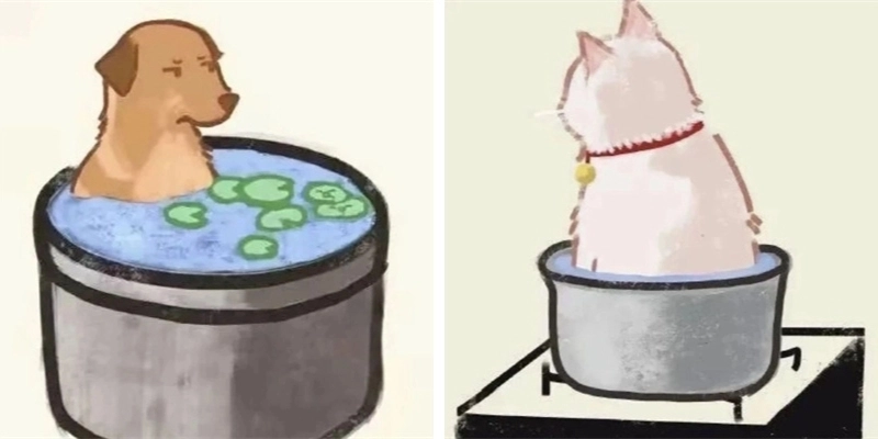 Ảnh anime cặp đẹp phối màu hài hòa