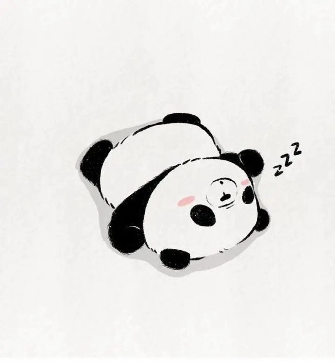 Avatar gấu trúc dành cho tín đồ động vật