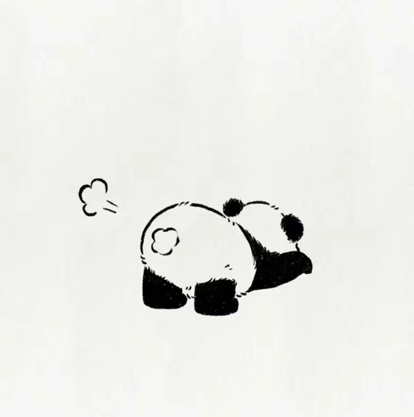 Panda gấu biểu tượng sự hiền lành