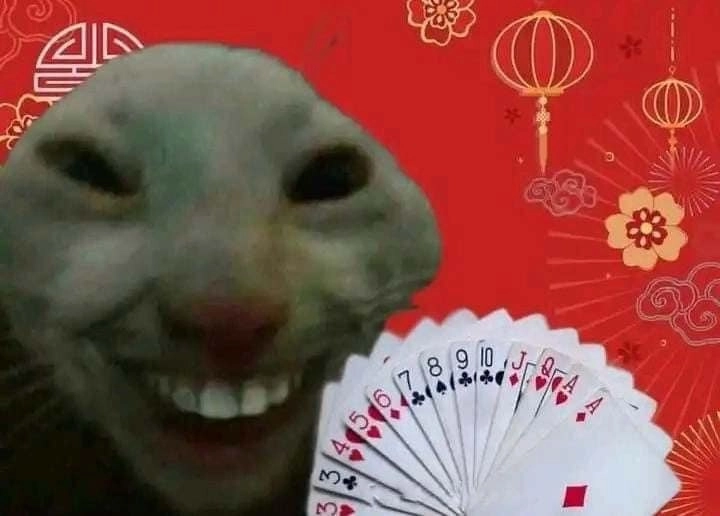 Avatar meme Tết siêu hài hước và ngộ nghĩnh