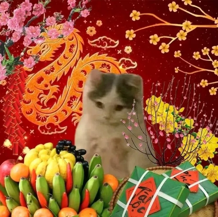 Avatar đôi mèo meme đáng yêu khiến bạn không thể bỏ qua