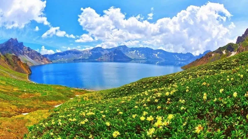 Avatar thiên nhiên xanh mát mang vẻ yên bình