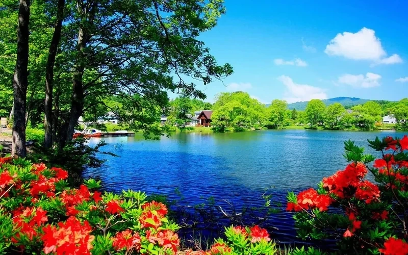 Hình ảnh nền thiên nhiên mang vẻ yên bình sâu lắng