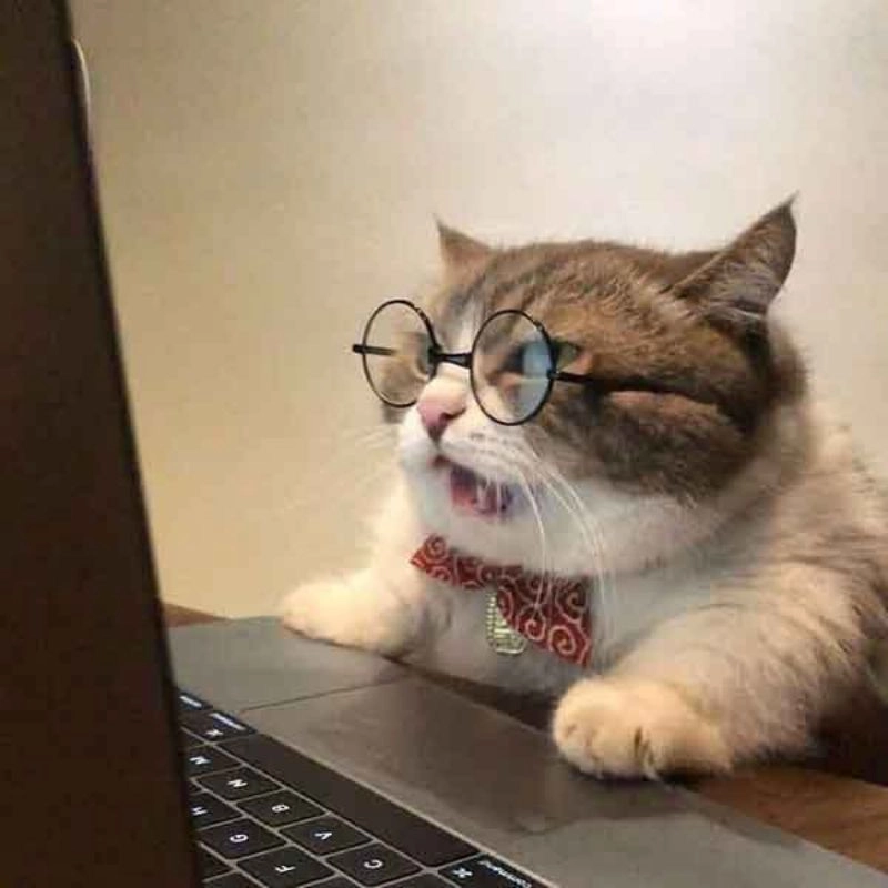 Ảnh troll chế meme hài lầy lội hết cỡ