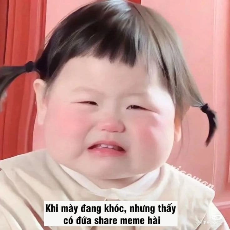 Ảnh meme chế bựa nhìn là không nhịn được