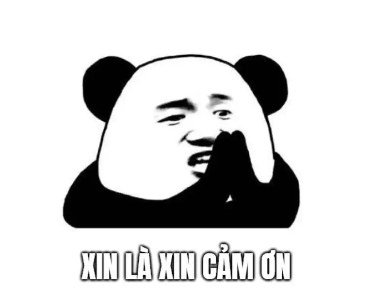 Những ảnh meme mang lại tiếng cười vỡ bụng