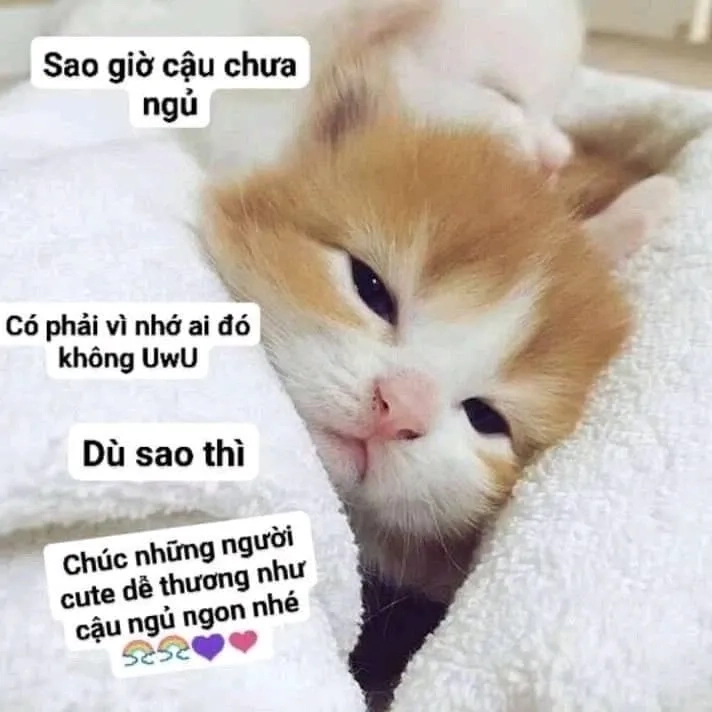 Meme chúc ngủ ngon kinh dị sẽ làm bạn vừa sợ vừa vui